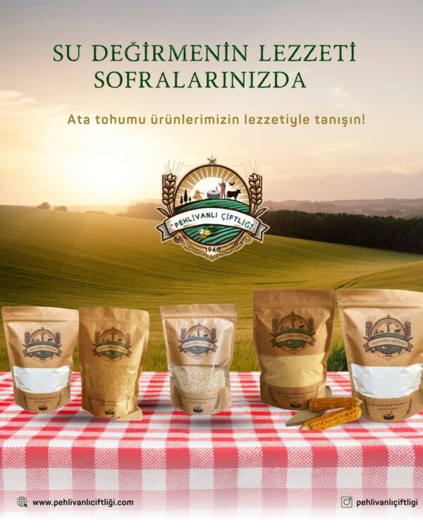 Değirmen Tadım Paketi  5000 gr