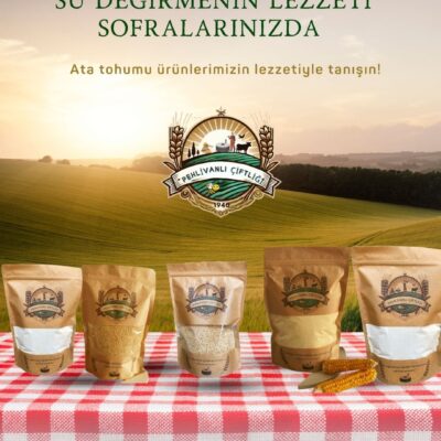 Değirmen Tadım Paketi  5000 gr
